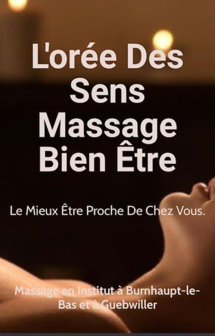 Gite Cosy Pour 2 A 4 Personnes, Village Proche Mulhouse Burnhaupt-le-Bas Екстер'єр фото