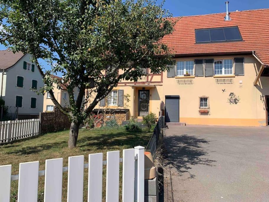 Gite Cosy Pour 2 A 4 Personnes, Village Proche Mulhouse Burnhaupt-le-Bas Екстер'єр фото